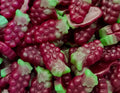 New Zealand Sour Grapes( Per 100g )