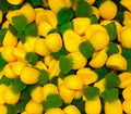 Pineapples ( Per 100g )