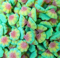 Sour Volcanoes ( Per 100g)