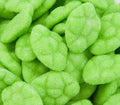Watermelon Clouds ( Per 100g )